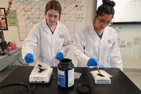 Students spooning charcoal powder onto scale
