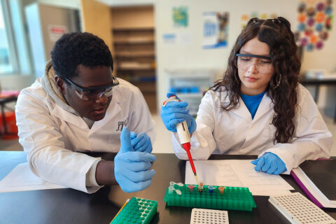 Students practicing pipetting