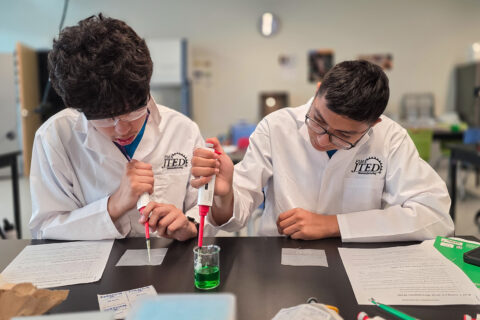 Students using micropipettes